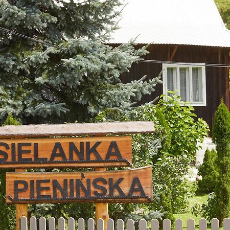 Вилла Sielanka Pieninska Кросченко Экстерьер фото