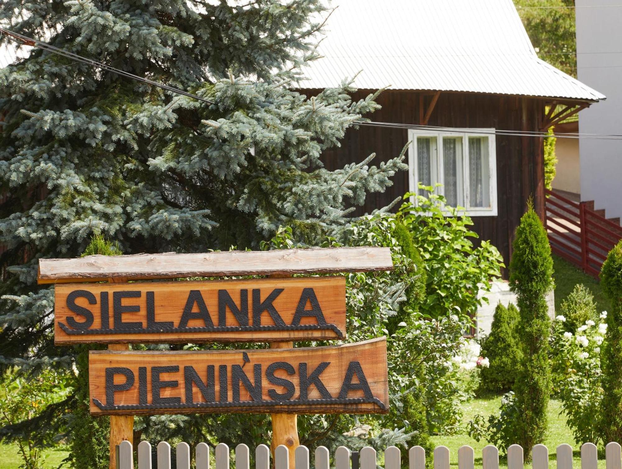 Вилла Sielanka Pieninska Кросченко Экстерьер фото